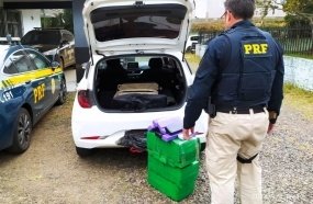 PRF apreende mais de 60 kg de maconha em veículo de aplicativo na BR-282