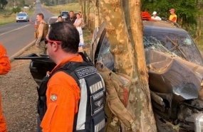 Motorista morre após caminhonete colidir contra árvore na SC-283