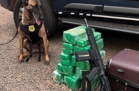 PRF encontra 20 kg de maconha e um fuzil em bagagem de adolescente 