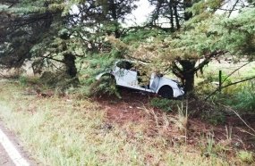 Condutora fica ferida após colisão de veículo em árvore na SC-452