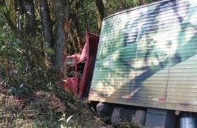 Caminhão colide contra árvores após sair da pista na BR-153