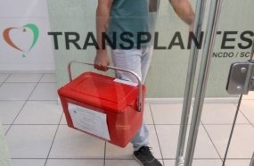 Setembro Verde: Santa Catarina reforça importância da doação de órgãos