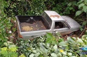 Picape despenca em ribanceira após desandar sozinha 