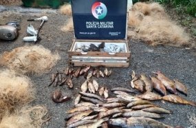 PM Ambiental flagra acampamento com pesca ilegal durante a Piracema