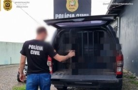 Homem condenado por estupro de vulnerável é preso em Tangará