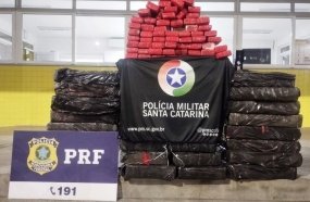 Ação conjunta apreende mais de 500 kg de maconha em Água Doce