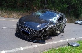 Motorista fica ferido após colisão entre carro e caminhão na BR-282