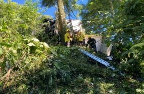 Árvore impede carreta de cair em ribanceira após tombar na BR-282