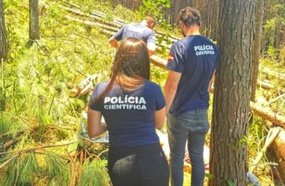 Homem morre ao ser atingido por árvore no interior de Joaçaba