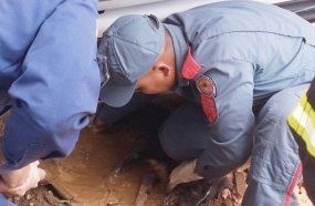 Cachorro fica preso embaixo de carreta que desandou em rua íngreme 