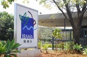 Concurso do Ibama terá 460 vagas com salários de R$ 9,9 mil