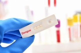 Saúde distribui testes rápidos para diagnóstico da dengue em Santa Catarina