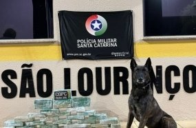 Cão farejador da polícia localiza mais de 30 kg de crack em caminhão 
