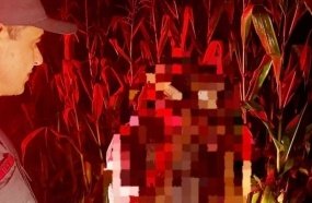 Idoso com Alzheimer é encontrado após se perder em milharal 
