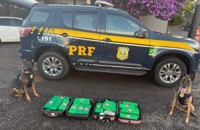 Foragido é preso com mais de 28 kg de drogas em ônibus na BR-480