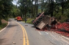 Motorista fica ferido após capotar caminhão carregado com maçãs 