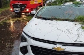 Árvore cai sobre veículo da saúde durante temporal na BR-282