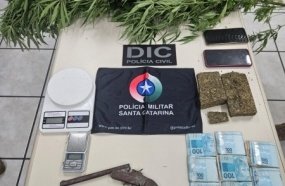 Casal é preso após polícia encontrar pés de maconha, dinheiro, arma e anabolizantes 