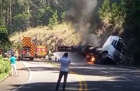 Caminhão carregado com suínos pega fogo após tombar na SC-453 