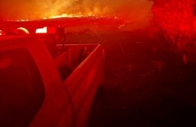 Incêndio atinge reflorestamento de eucaliptos no interior de Vargem