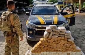 PRF apreende mais de 600 kg de maconha em quatro ocorrências em SC