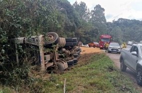 Carreta carregada com milho tomba ao fazer curva na BR-282
