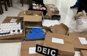 Polícia Civil desarticula quadrilha que falsificava e adulterava medicamentos