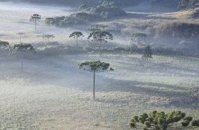 Santa Catarina pode registrar a primeira neve do ano nesta semana