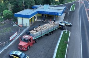 PRF intercepta carreta carregada com produtos chineses na BR-153 