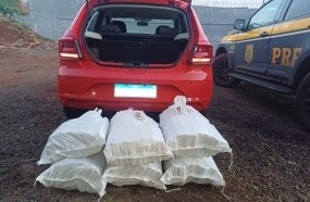 Casal é flagrado no Oeste com 119 kg de maconha no carro
