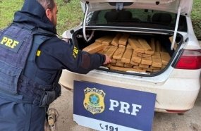 PRF apreende mais de 350 kg de maconha em duas ações no Oeste