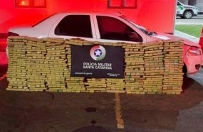 PM Rodoviária registra apreensão recorde de drogas no 1º semestre em SC