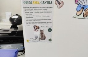 Herval d’Oeste abre cadastro para castração gratuita de cães e gatos