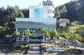Pesquisa de professora da Unoesc alerta sobre o acúmulo de ferro no organismo