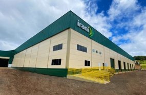 Irani oferece oportunidades de emprego na área florestal no Meio-Oeste