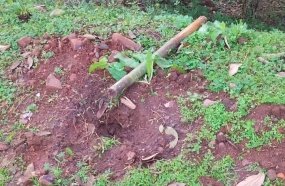 Vandalismo compromete ações de embelezamento em Herval d’Oeste