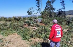 Idoso de 67 anos morre após ser atingido por árvore em Irani