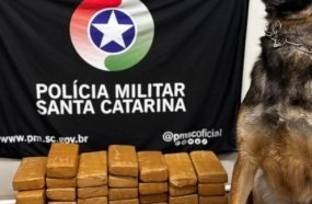 Adolescente é apreendido com mais de 20 kg de maconha em ônibus
