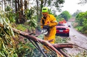 Bombeiros atuam em mais de 150 ocorrências após fortes chuvas em SC