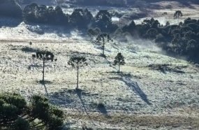 Geada marca início da primavera em cidades da Serra Catarinense