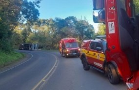 Motorista fica ferido após caminhão com suínos tombar na SC-464