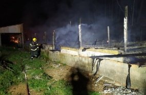 Incêndio consome estrutura de granja de suínos em Ibicaré