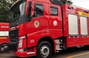 Empresário de 47 anos morre ao ser atingido por árvore de grande porte