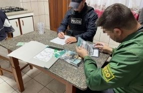 GAECO deflagra operação contra grupo do 'golpe do falso advogado' em SC