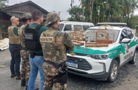 GAECO e PM Ambiental deflagram Operação para combater crimes contra a fauna