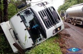 Caminhão com carga de suínos sai da pista e tomba em estrada rural