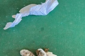 Responsável por adolescente é multado após flagrante de maconha em local público