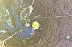 Bombeiros resgatam boi que caiu em poço de seis metros de altura