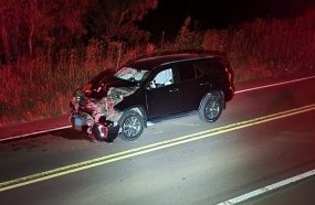 Motorista fica ferido após atropelar vaca em rodovia de SC