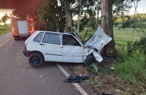 Motorista fica ferido após carro sair da pista e colidir contra árvore